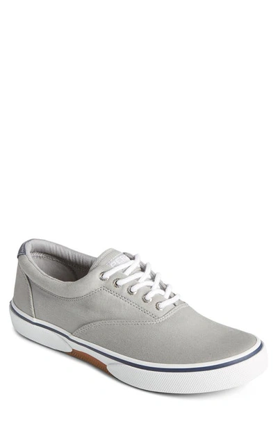 SPERRY SPERRY HALYARD SALTWASHED LOW TOP SNEAKER