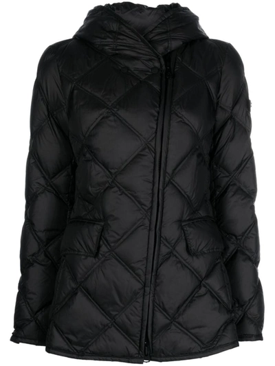 Peuterey Starter Down Jacket In Negro