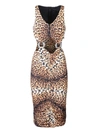 Roberto Cavalli Leopard-print Cut-out Midi Dress In Beige