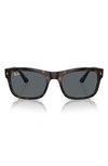 Ray Ban 56mm Rectangular Sunglasses In Havana