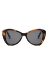 Celine Thin Acetate Butterfly Sunglasses In Colhav/smk