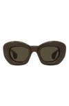 Loewe Men's Inflated Acetate-nylon Butterfly Sunglasses In Shiny Dark Brown