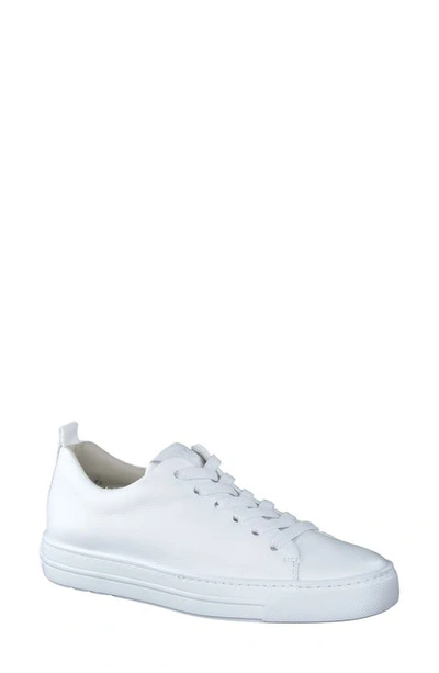 Paul Green Scotty Sneaker In White Leather