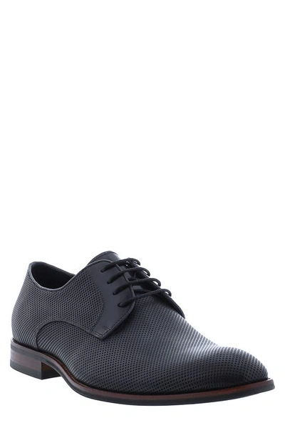 Zanzara Cuba Plain Toe Derby In Black