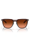 Oakley Thurso 54mm Prizm™ Gradient Round Sunglasses In Brown Gradient