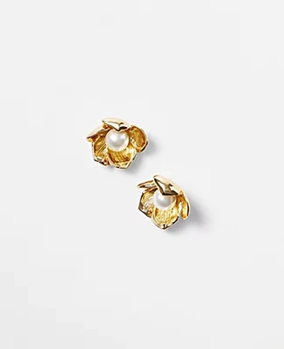 Ann Taylor Pearlized Flower Stud Earrings In Goldtone