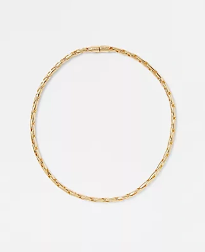 Ann Taylor Delicate Chain Necklace In Goldtone