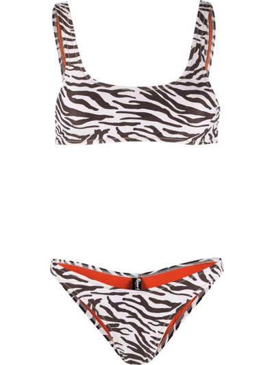 Reina Olga Swimwear In Brown Zebra