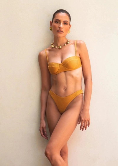 Arya Beachwear Gold Breeze Half Cup Bikini
