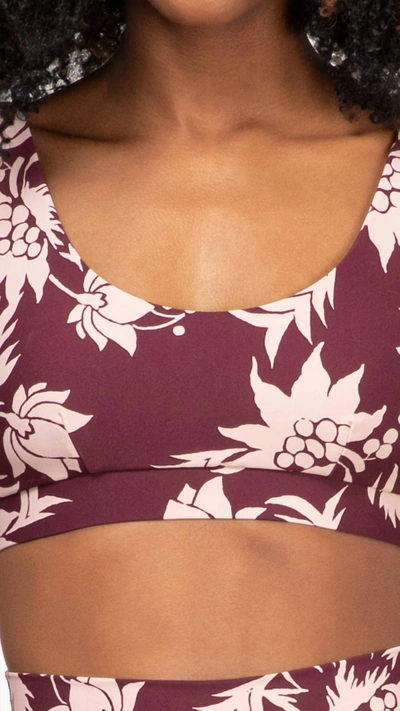 The Upside Kabuki Daisy Bra In Floral In Red