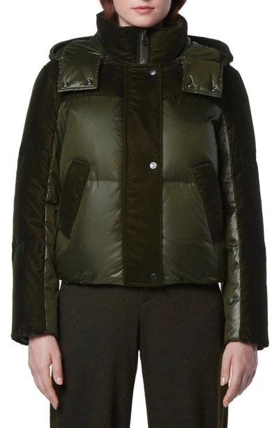 Andrew Marc New York Velvet Mixed Media Puffer Coat In Forest