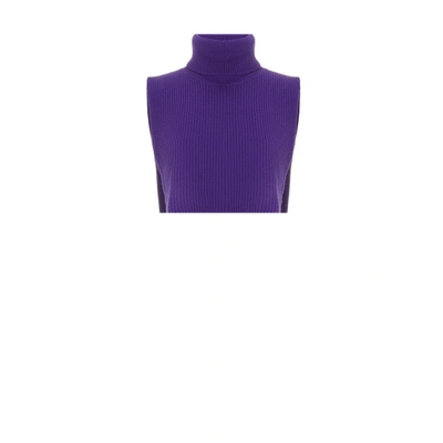 Saison 1865 Cashmere Roll-neck Jumper In Purple