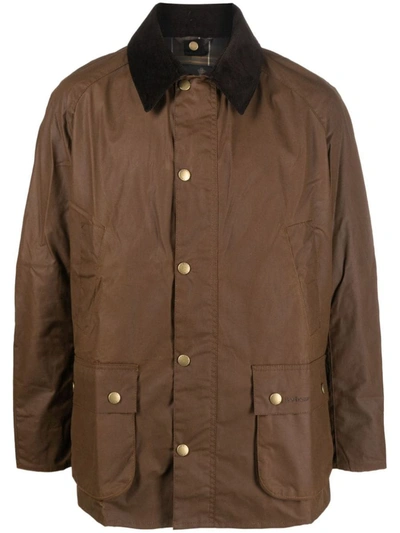 Barbour Ashby Jacket In Brown