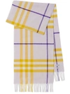 Burberry Check Pattern Cashmere Scarf In Multicolour