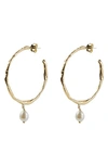 Argento Vivo Freshwater Pearl Molten Hoop Drop Earrings In Gold