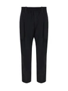 Brunello Cucinelli Monile' Pants Gray