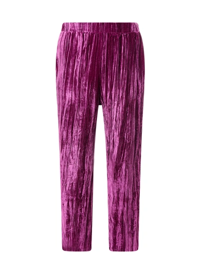 Sleep No More Cloqué Velvet Pajamas Trouser In Multicolor