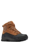 Sorel Buxton Lite Lace In Elk,black