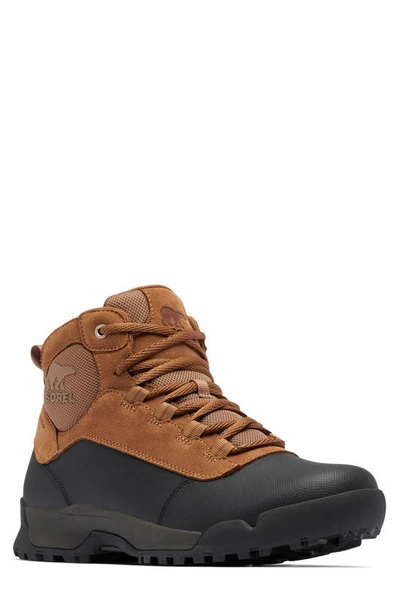 Sorel Buxton Lite Lace In Elk,black