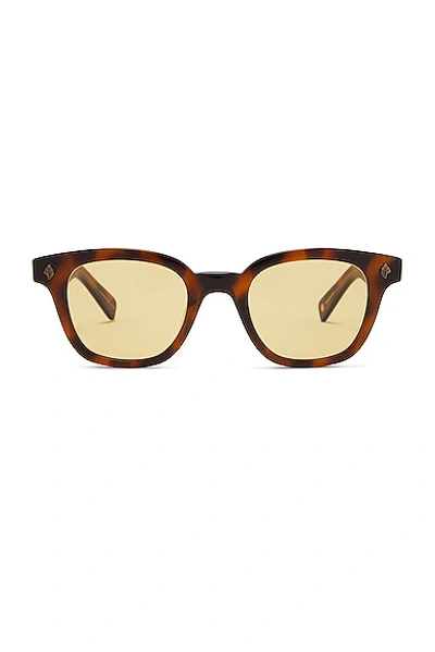 Garrett Leight Naples Sun Spotted Brown Shell Sunglasses In Spbrnsh/pmp Spotted