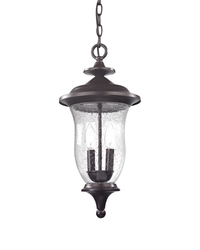 Artistic Home & Lighting Trinity 2-light Outdoor Pendant In Black