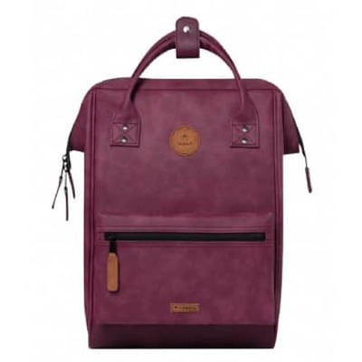 Cabaia Adventuter Medium Delhi Backpack