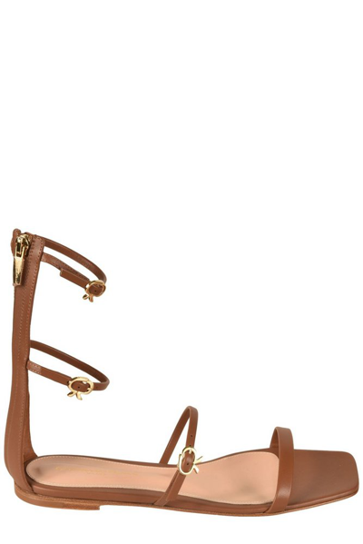 Gianvito Rossi Downtown Triple Buckle In Brown