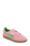 Puma Palermo Logo-tab Suede Low-top Trainers In Pink