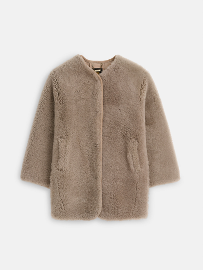 Alex Mill Owen Barry Mae Shearling Coat In Savannah