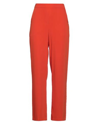 P.a.r.o.s.h Pants In Orange