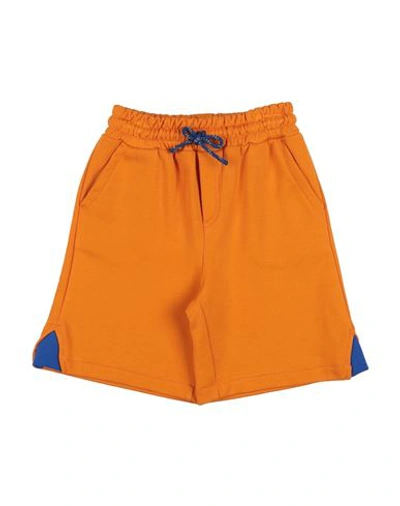 Dolce & Gabbana Babies'  Toddler Boy Shorts & Bermuda Shorts Mandarin Size 5 Cotton, Polyester