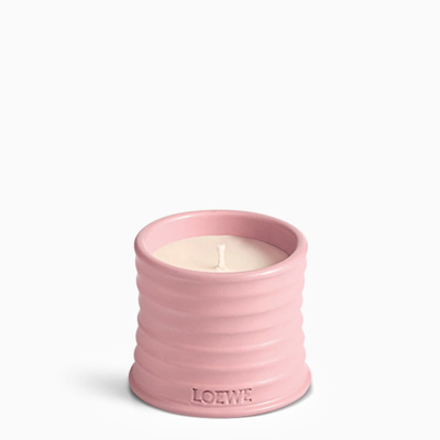 Loewe Ivy Pink Small Candle Women