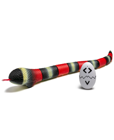 Discovery Kids' Toy Remote Control King Snake In Open Miscellaneous