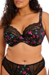 Elomi Lucie Full Figure Underwire Plunge Bra In Rock N Rose