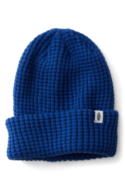 Fp Movement Cool Down Knit Beanie In Cobalt