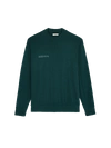 Pangaia Men's Seaweed Lyocell Fine Knit Top — Foliage Green In Foliage Green