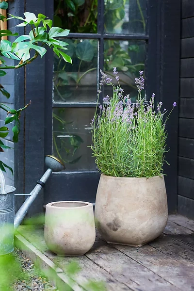 Terrain Aged Ceramic Planter In Gray