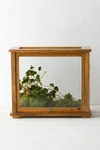 Terrain Specimen Case Terrarium In Multicolor