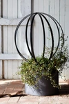 Terrain Sphere Topiary Frame In Black