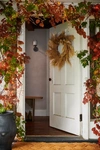 Terrain Stargazer Copper Twine Branch Light