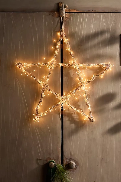 Terrain Stargazer Illuminated Led Vine Star