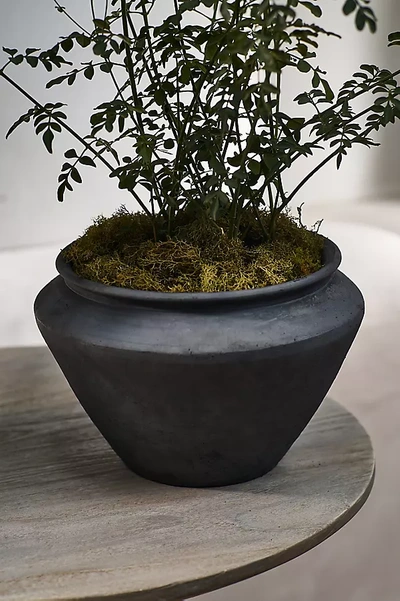 Terrain Stella Ceramic Planter In Black