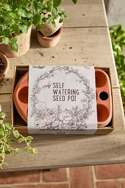 Terrain Self-watering Seed Pot In Brown