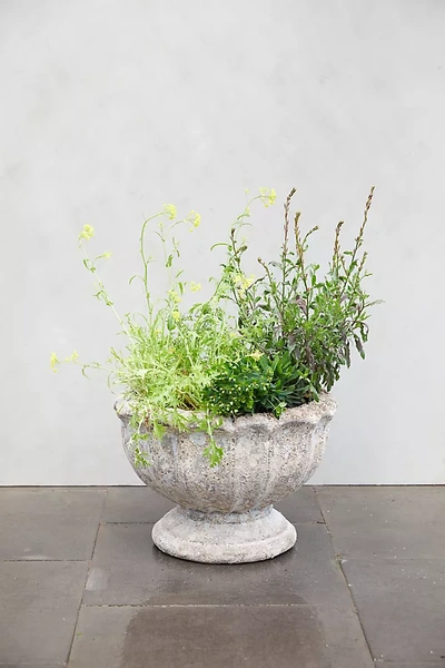 Terrain Seashore Urn In White