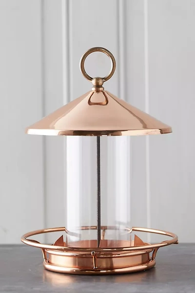 Terrain Short Solid Copper Bird Feeder In Gold