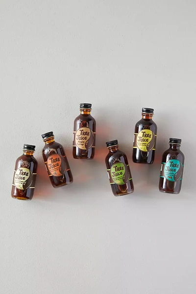Terrain Tree Juice Flavored Maple Syrups, Set Of 6 In Multi