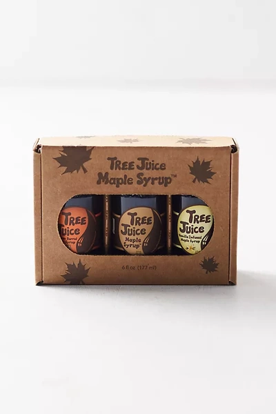Terrain Tree Juice Pure Maple Syrup, Set Of 3