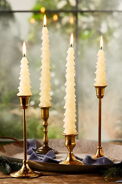 Terrain Tree Unscented Tapers, Set Of 2
