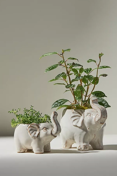 Anthropologie Trumpeting Elephant Pot In White