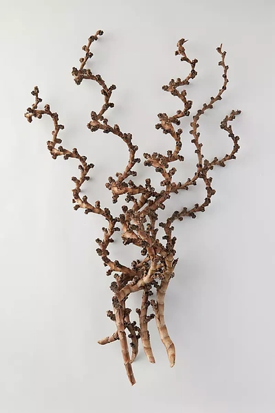 Terrain Twisted Ladder Branch In Brown